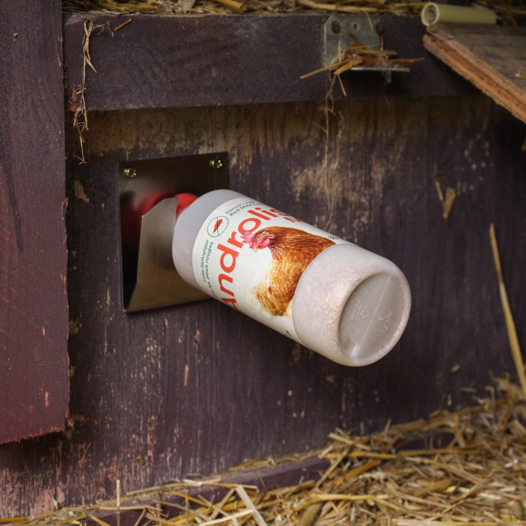 Pack bien être des poules